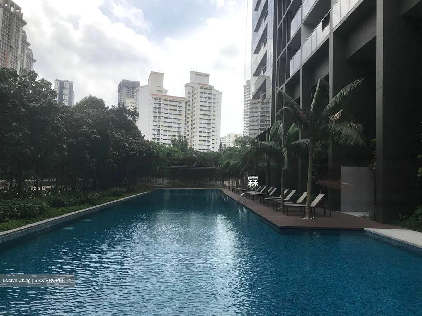Commonwealth Towers (D3), Condominium #627954731